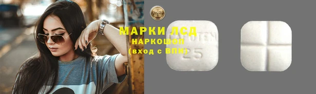 мдпв Володарск