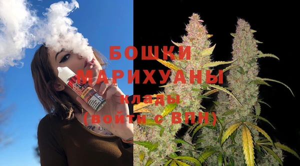 дурь Вяземский