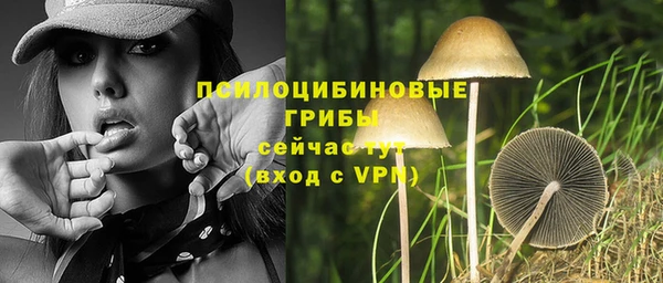 стафф Волосово