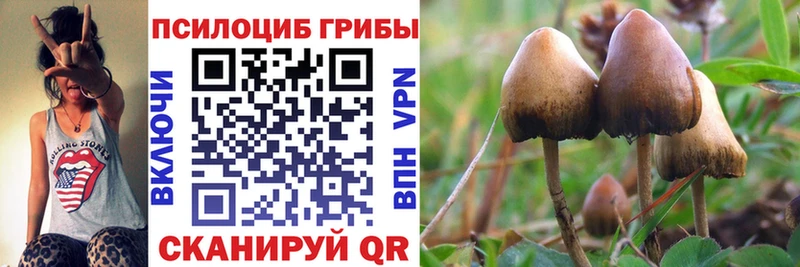 что такое Дзержинский Галлюциногенные грибы Psilocybine cubensis
